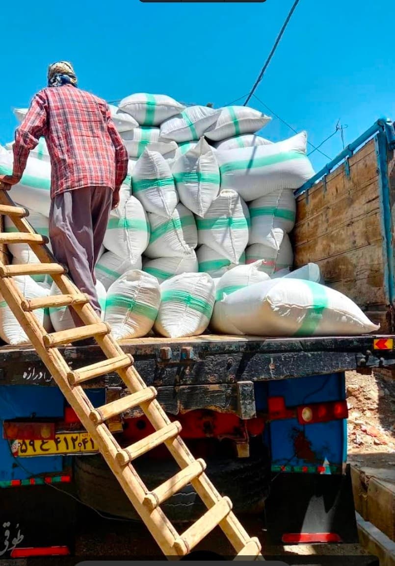 تصویر 1 از فروش گشنیز شکسته اقتصادی برای بسته‌ بندی گرمی